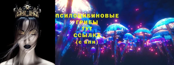 стаф Арсеньев