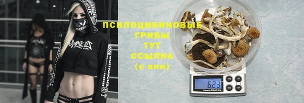 стаф Арсеньев