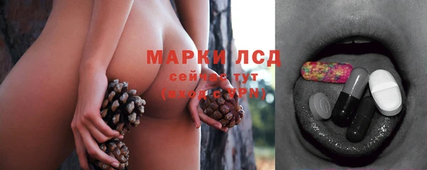 PSILOCYBIN Армянск