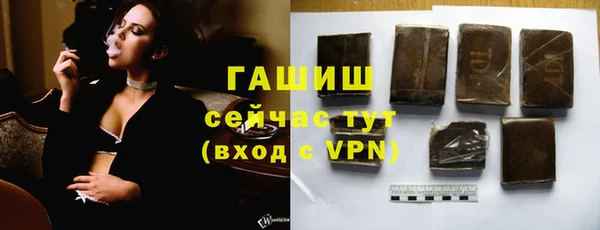 стаф Арсеньев