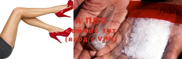 PSILOCYBIN Армянск