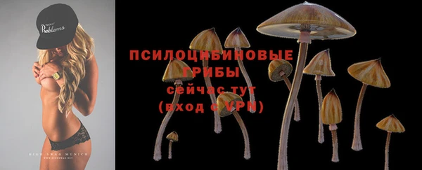 дмт Аркадак