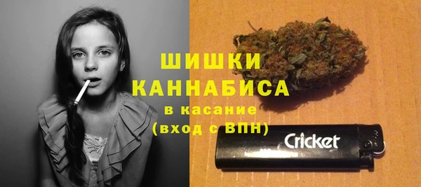 PSILOCYBIN Армянск