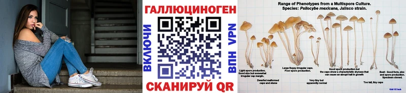 Псилоцибиновые грибы мухоморы  магазин  наркотиков  ОМГ ОМГ онион  Нюрба 